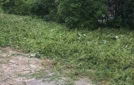 Покос травы на придомовых территориях