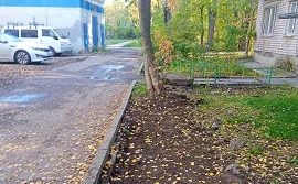Благоустройство придомовой территории по адресу ул. Бушмакина, 16