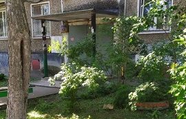 Покос травы на придомовых территориях
