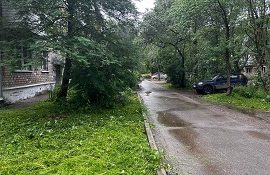 Покос травы на придомовых территориях