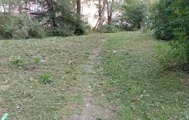 Покос травы на придомовых территориях